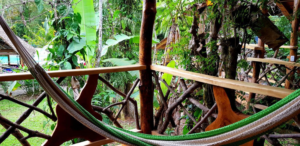 קאוויטה 3 Bamboo Eco Lodge מראה חיצוני תמונה