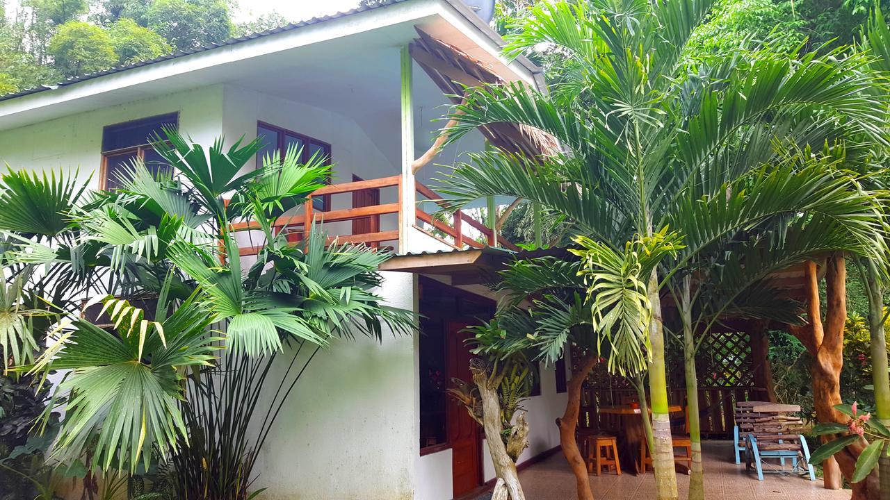 קאוויטה 3 Bamboo Eco Lodge מראה חיצוני תמונה