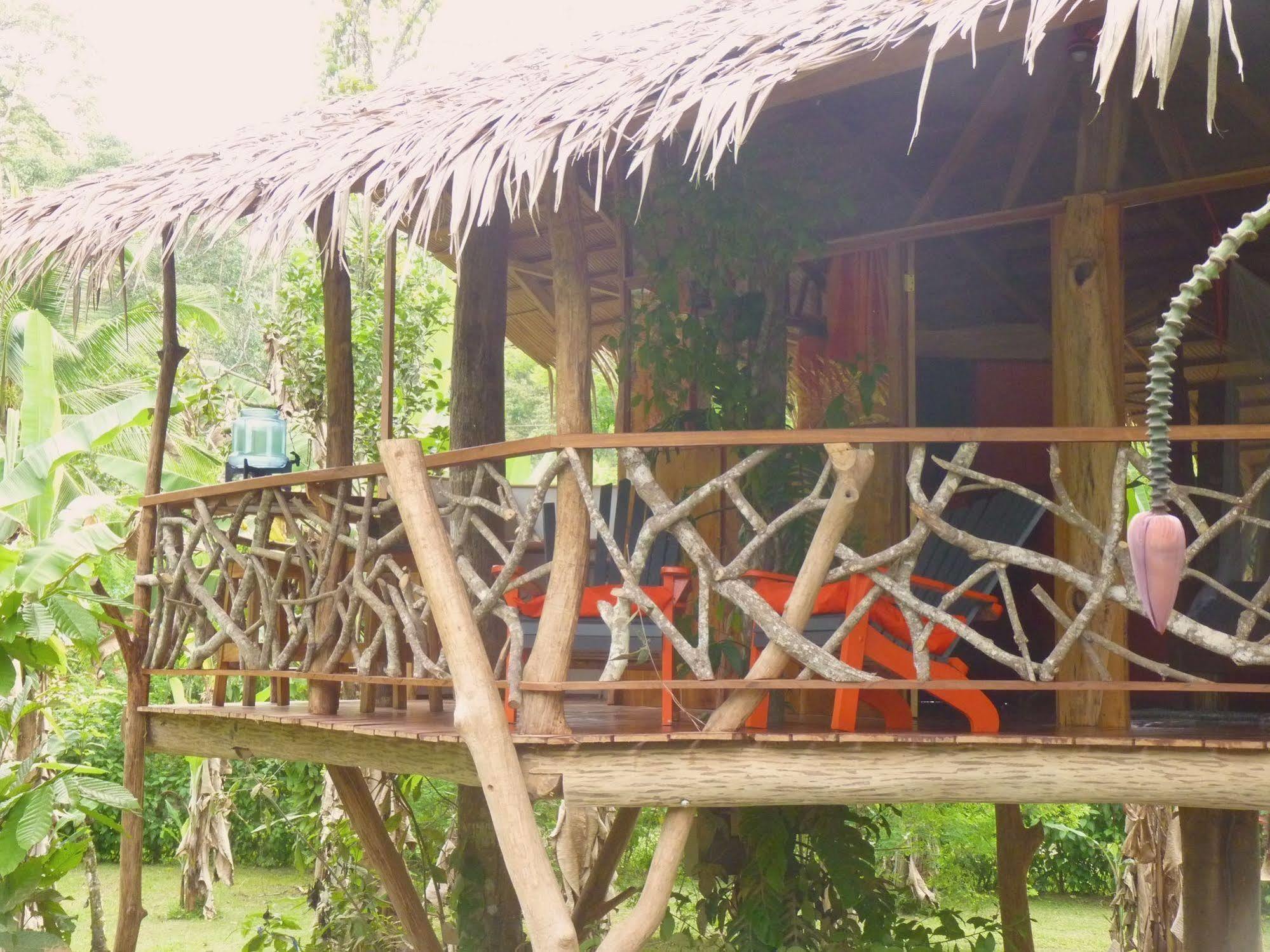 קאוויטה 3 Bamboo Eco Lodge מראה חיצוני תמונה