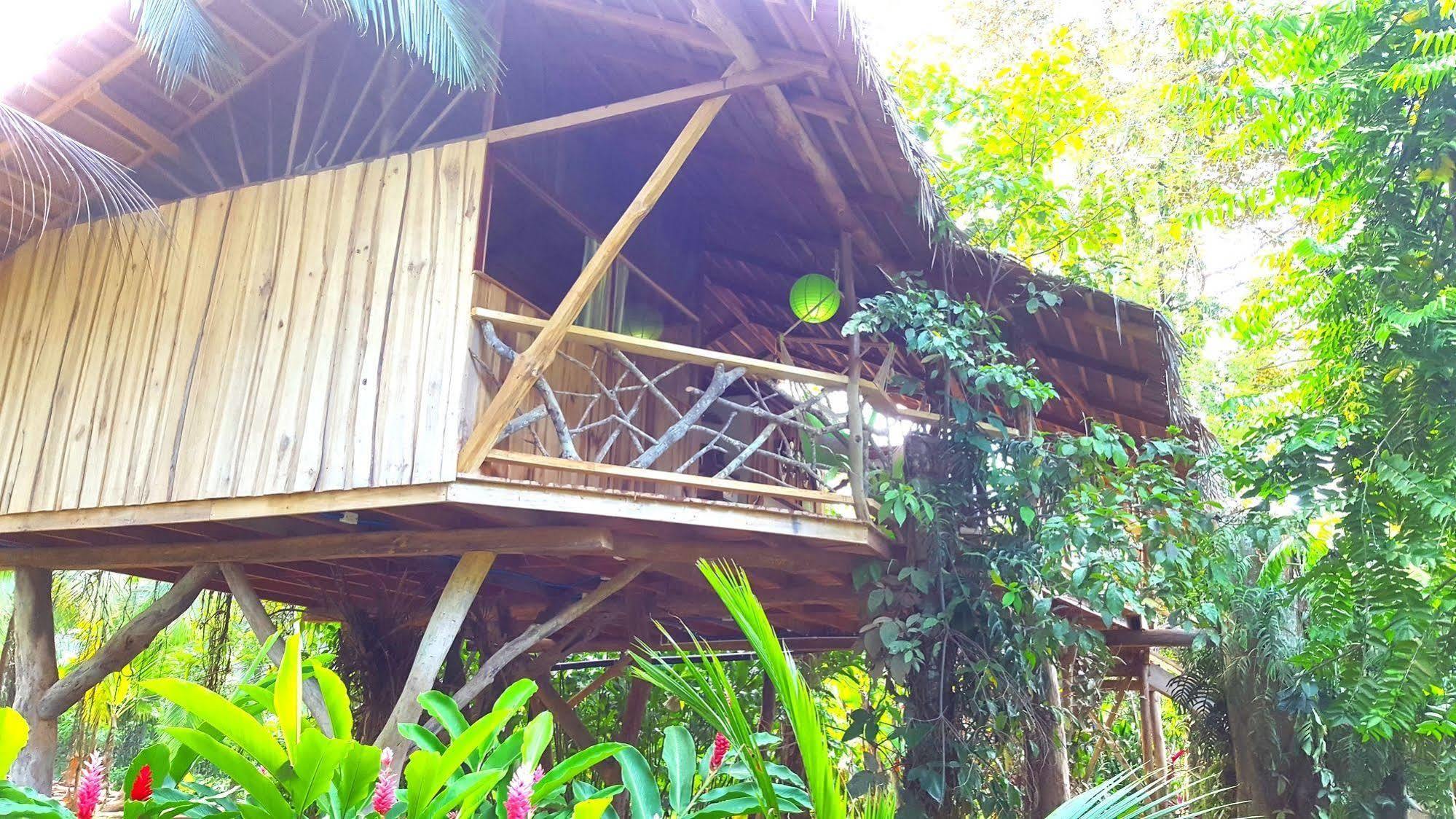 קאוויטה 3 Bamboo Eco Lodge מראה חיצוני תמונה