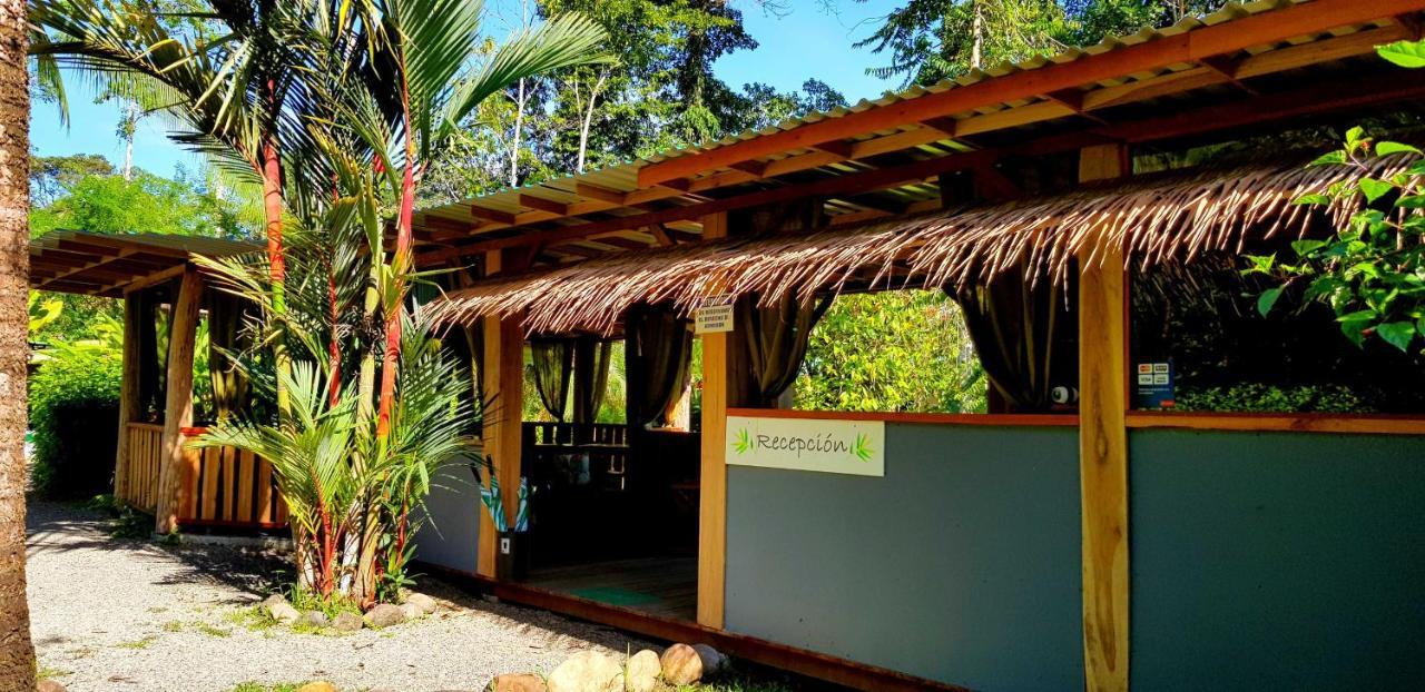 קאוויטה 3 Bamboo Eco Lodge מראה חיצוני תמונה